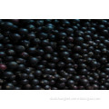 Natural Organic Black Currant P. E. in Bulk Stock CAS No. 97676-19-2.